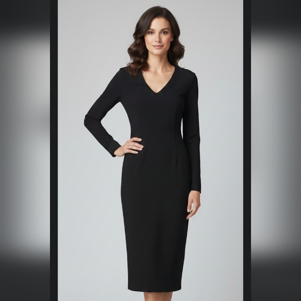 ❤️5/$25 SHEIN Classic Black Long Sleeve Dress